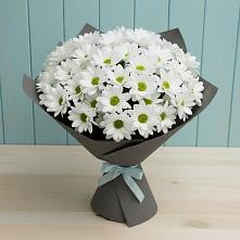 Букет белые хризантемы #REPLACE_PRED# Саратове Букет цветов из:  Хризантемы #REPLACE_PRED# Саратове